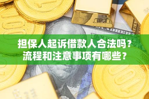 武汉担保人起诉借款人合法吗？流程和注意事项有哪些？