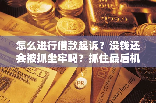 武汉怎么进行借款起诉？没钱还会被抓坐牢吗？抓住最后机会！
