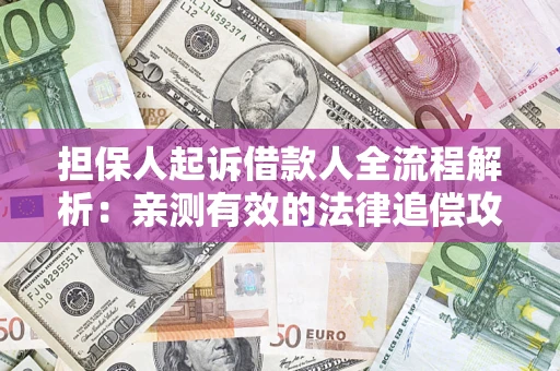 武汉担保人起诉借款人全流程解析：亲测有效的法律追偿攻略