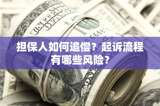 武汉担保人如何追偿？起诉流程有哪些风险？