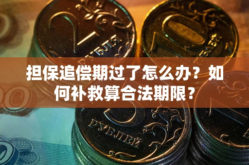 武汉担保追偿期过了怎么办？如何补救算合法期限？