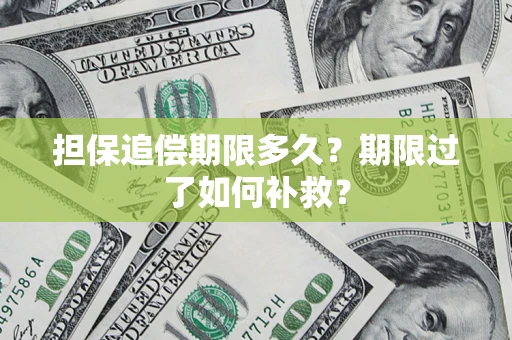 武汉担保追偿期限多久？期限过了如何补救？