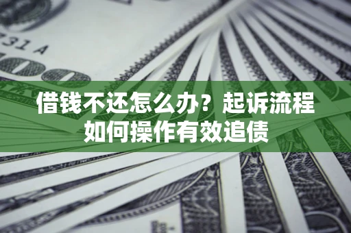武汉借钱不还怎么办？起诉流程如何操作有效追债