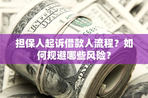 武汉担保人起诉借款人流程？如何规避哪些风险？