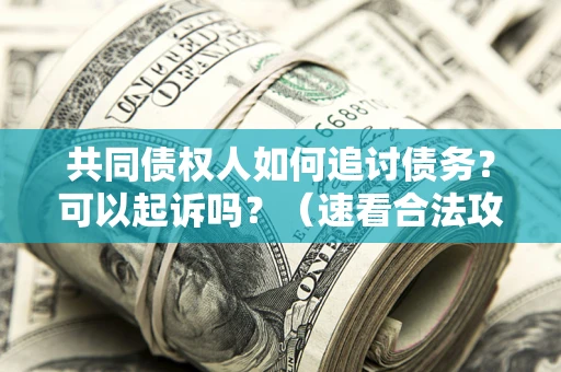 武汉共同债权人如何追讨债务？可以起诉吗？（速看合法攻略）