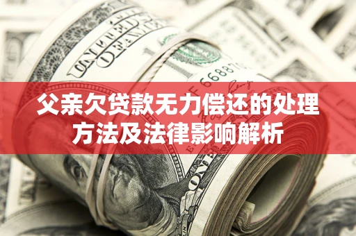 武汉父亲欠贷款无力偿还的处理方法及法律影响解析