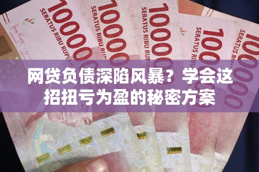 武汉网贷负债深陷风暴？学会这招扭亏为盈的秘密方案