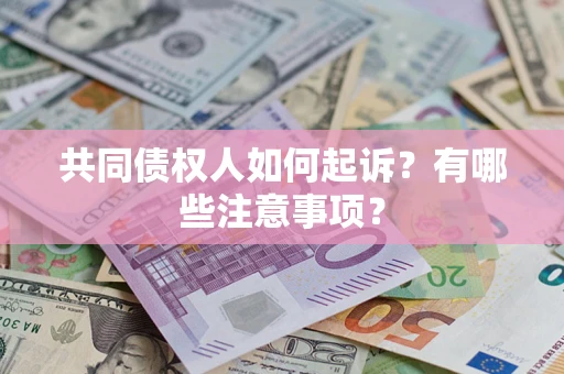 武汉共同债权人如何起诉？有哪些注意事项？