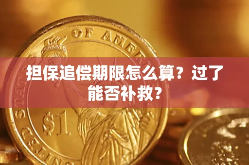 武汉担保追偿期限怎么算？过了能否补救？